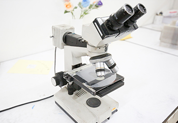 麗晶微生產(chǎn)設(shè)備